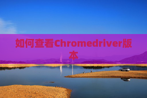 如何查看Chromedriver版本